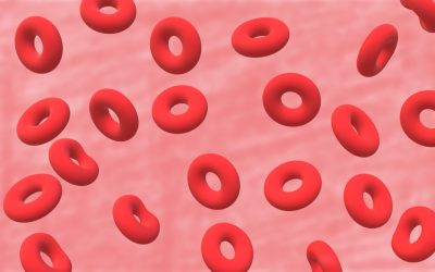 Blutgruppen und Persönlichkeit: Mythos oder Wissenschaft? 🧬