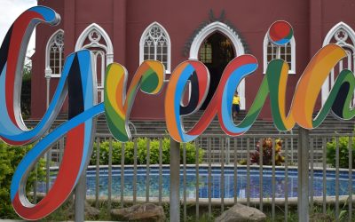 Google SEO für Blogs: Aktuelle Trends und Best Practices 2026