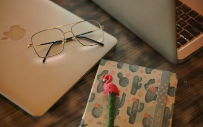 Ihr Weg zum profitablen WordPress-Blog: Aktuelle Strategien für 2026