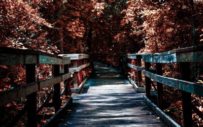 Künstliche Intelligenz im Alltag: Revolution oder Evolution?