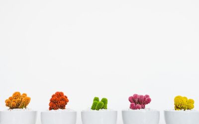 MBTI und Beziehungen: Harmonie durch Verständnis der Persönlichkeitstypen im Jahr 2026