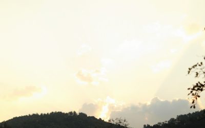 MBTI und Beziehungen: Wie Persönlichkeitstypen Partnerschaften bereichern können