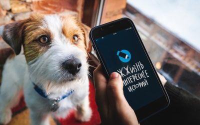 Mit Google AdSense den Blog monetarisieren: Ihr Leitfaden für 2026 🚀