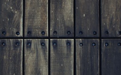 Mit Google AdSense den Blog monetarisieren: Ihr Leitfaden für 2026