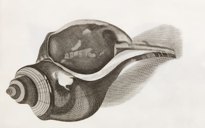 Sternzeichen-Kompatibilität: Ein Blick auf die Liebe im Jahr 2026 ✨