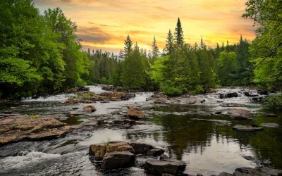 Blutgruppe und Persönlichkeit: Ein faszinierender Blick auf populäre Überzeugungen