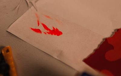 Blutgruppen: Wissenschaftliche Fakten vs. Mythen – Was Sie wirklich wissen müssen