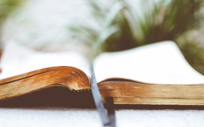 Dollar-Cost Averaging (DCA): Die smarte Strategie für Krypto-Investitionen 2026