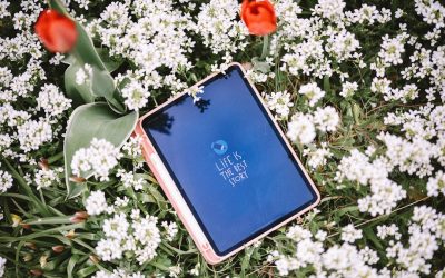 MBTI und Beziehungen: Wie Persönlichkeitstypen die Partnersuche und Dynamik beeinflussen