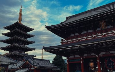 Blutgruppe und Persönlichkeit: Ein Blick auf einen faszinierenden Mythos