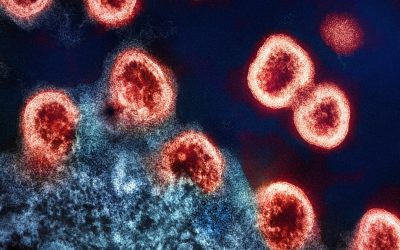 Blutgruppen und Persönlichkeit: Ein Blick auf den Mythos und die Wissenschaft