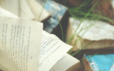 Gedeckte Calls: Eine lukrative Optionsstrategie für regelmäßiges Einkommen im Jahr 2026