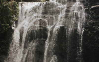 Mit Ihrem Blog AdSense-Einnahmen generieren: Der ultimative Leitfaden für 2026