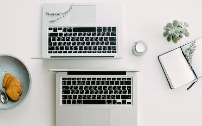 Monetarisierung Ihres WordPress-Blogs: Aktuelle Strategien und Erfolgsfaktoren für 2026