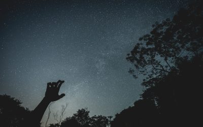 Sternzeichen-Kompatibilität: Ein Blick auf moderne Beziehungen und Selbstfindung