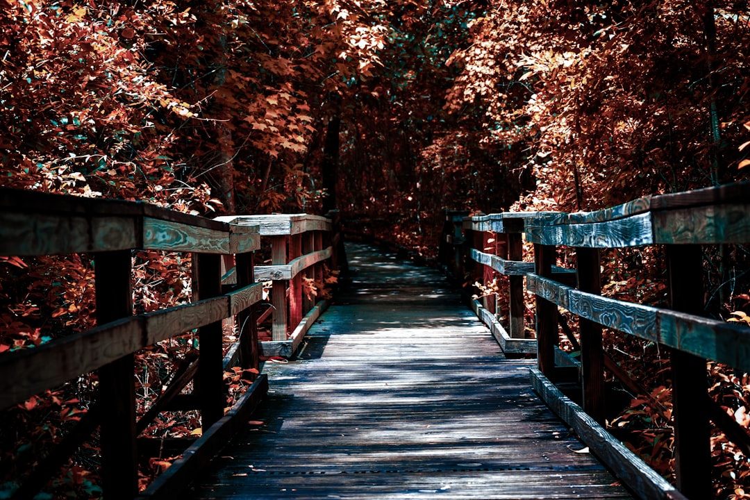 zus-tzliches-einkommen-durch-covered-calls-eine-bew-hrte-optionsstrategie-f-r-ihr-portfolio-1773718552318