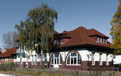 Blutgruppen und Ihre Gesundheit: Was die aktuelle Forschung sagt