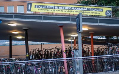 MBTI und Beziehungen: Wie Persönlichkeitstypen die Dynamik beeinflussen