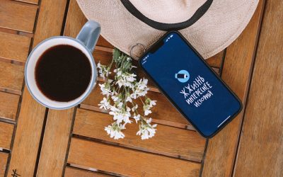 Mit Google AdSense den Blog monetarisieren: Ihr Weg zum passiven Einkommen 💰