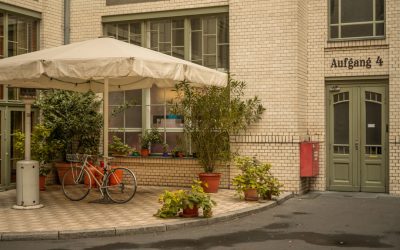 Blutgruppen und Persönlichkeit: Ein Blick auf den Mythos und die Wissenschaft