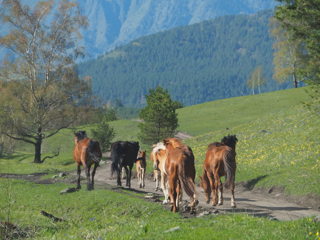 blutgruppen-und-pers-nlichkeit-ein-blick-auf-mythen-und-moderne-perspektiven-1779172556680