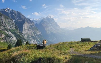 Ihre kulinarische Weltreise 2026: Die besten Reiseziele und Geheimtipps für Feinschmecker