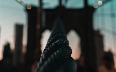 Swing Trading: Gewinne durch kurzfristige Kursschwankungen erzielen – Ein Leitfaden für 2026