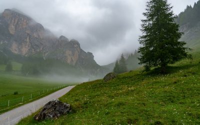 Entdecken Sie die Welt auf dem Teller: Ihre ultimative Genussreise 2026