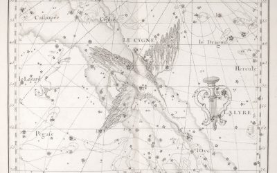 Sternzeichen und Karriere: Ein moderner Blick auf astrologische Tendenzen in der Berufswelt