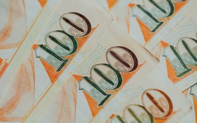 Der Weg zum profitablen Blog: Mit WordPress Einnahmen generieren