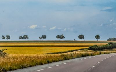 Die Welt schmecken: Ihre ultimative Anleitung zu Top-Reisezielen und kulinarischen Geheimtipps 2026
