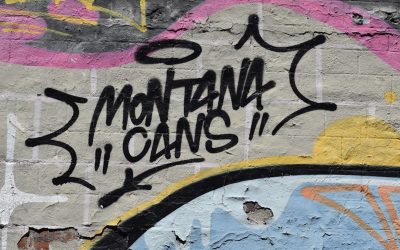 Ihr Weg zum profitablen Blog: Mit WordPress Einnahmen generieren in 2026