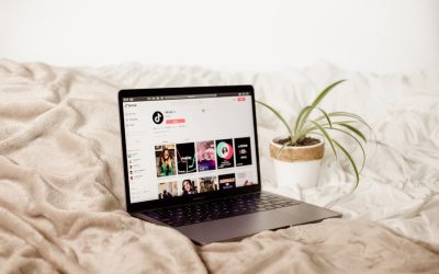 Mit WordPress zum profitablen Blog: Ihr Leitfaden für 2026