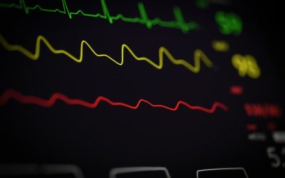 Blutgruppen und Gesundheit: Was die Wissenschaft heute sagt (Stand: August 2026)