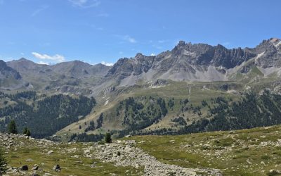 Blutgruppen und Persönlichkeit: Mythos oder Wissenschaft? Eine tiefe Analyse