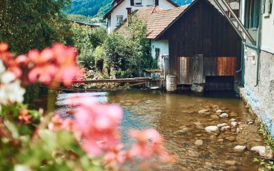 Ihr Weg zum Erfolg: Blog-Monetarisierung mit WordPress im Jahr 2026