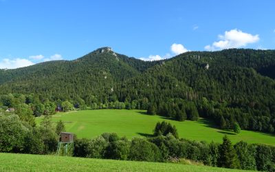 Blutgruppen und Persönlichkeit: Ein Blick auf Mythen, Fakten und ihre Popularität in Deutschland